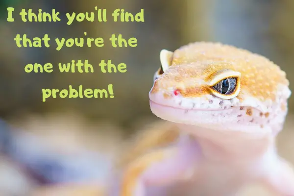 Picture of a leopard gecko causing problems