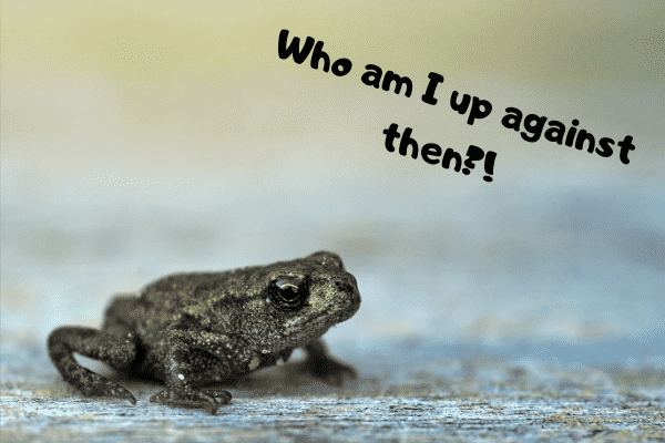 A frog asking who he's up against indicating the frog vs toad matchup