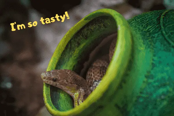 A snake saying it's so tasty