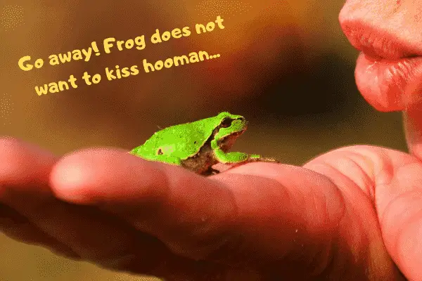 A pet frog telling their human that they don't want a kiss